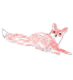 fox