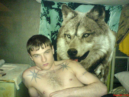 hotcoyote